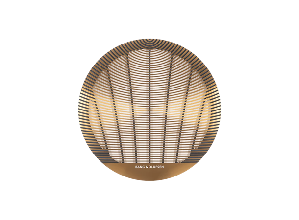 Bang & Olufsen Advanced Grill Separat grill til takhøyttalere 10" 