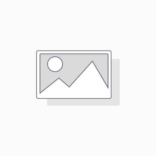 Origin Acoustics OS80